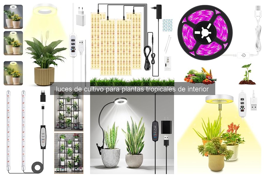 Comparativa de las Mejores Luces de Cultivo para Plantas Tropicales