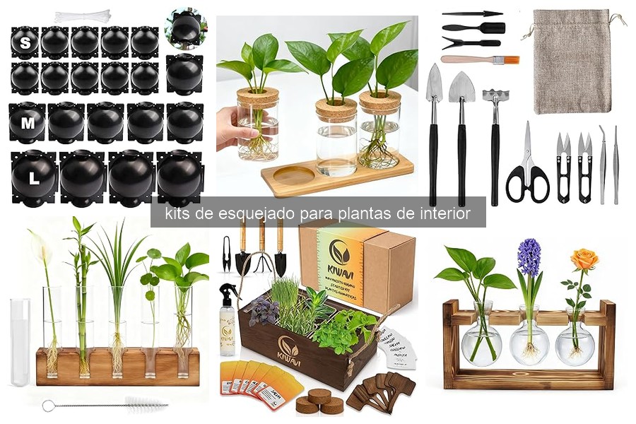 Comparativa de los Mejores Kits de Esquejado para Plantas de Interior
