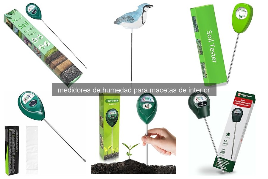 Comparativa de medidores de humedad para macetas de interior