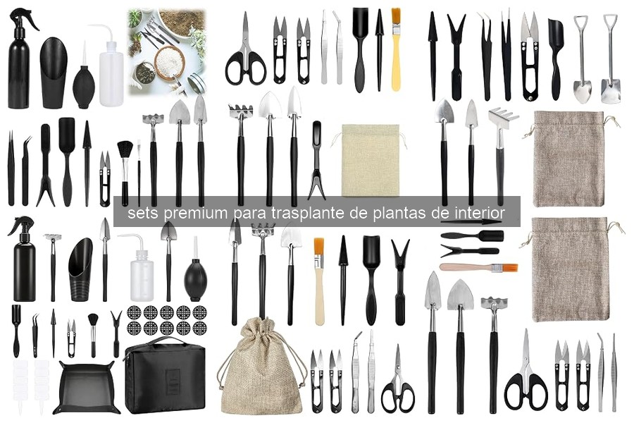 Comparativa de sets premium para trasplante de plantas de interior