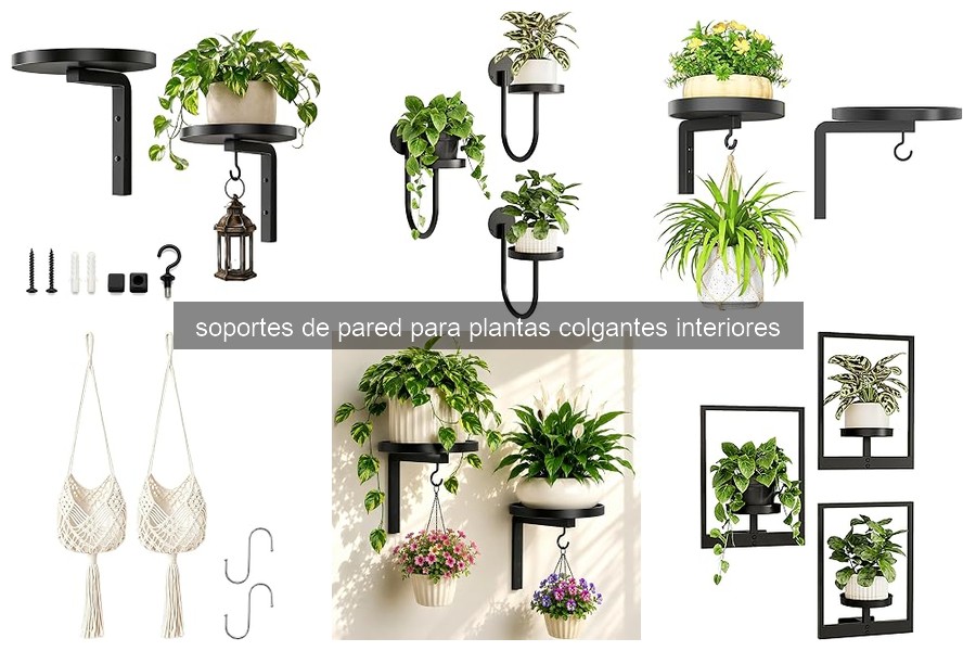 Comparativa de Soportes de Pared para Plantas Colgantes 2023