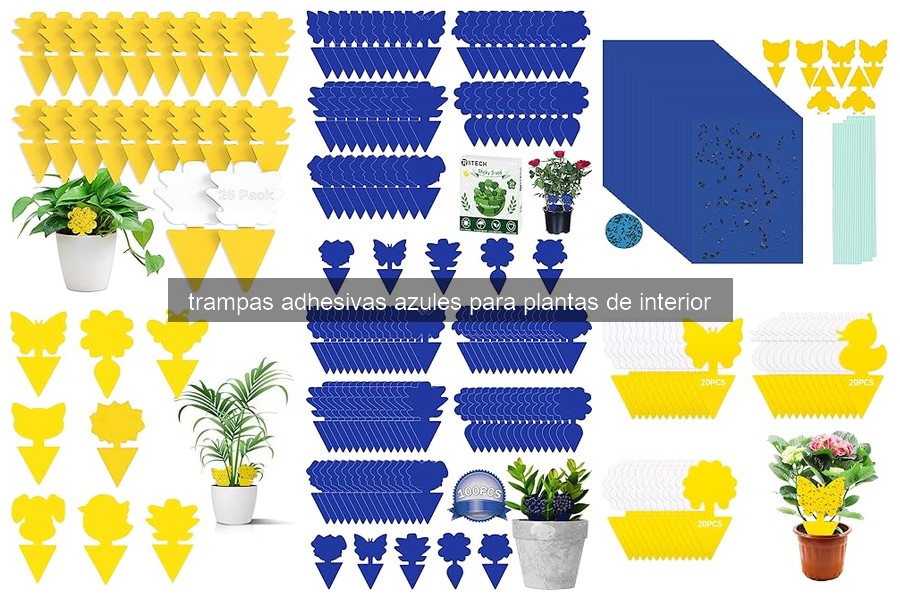 Comparativa de trampas adhesivas azules y amarillas para plantas