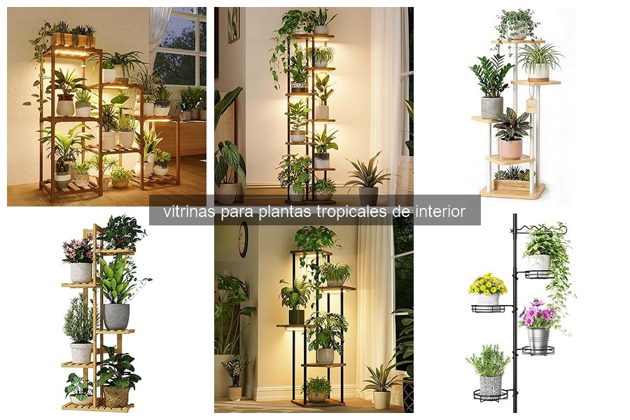 Comparativa de vitrinas para plantas tropicales: mejores modelos 2026
