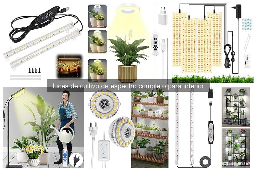 Comparativa: Luces de cultivo de espectro completo vs. LED