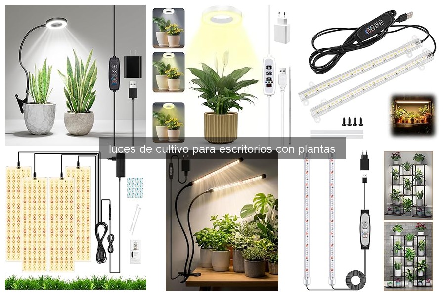 Consejos para Instalar Luces de Cultivo en tu Escritorio
