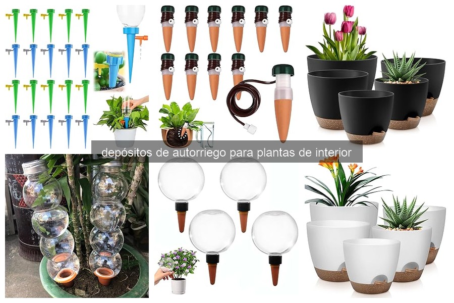 Depósitos de autorriego: ¿Qué son y cómo benefician a tus plantas?