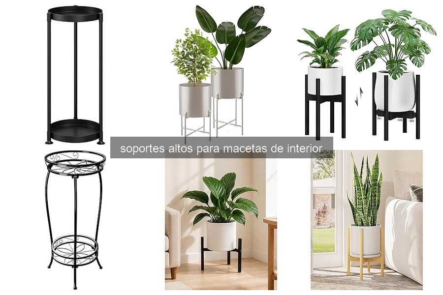 Descubre los Soportes Altos para Macetas de Interior