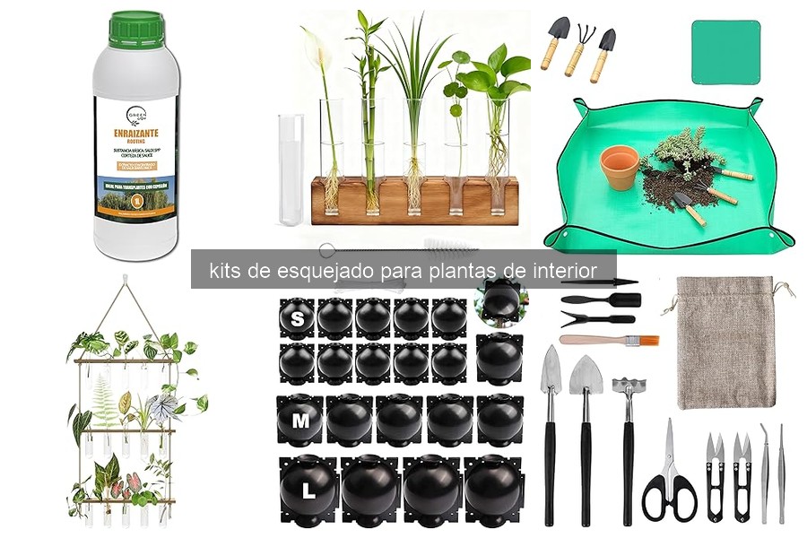 Descubre qué son los kits de esquejado para plantas de interior