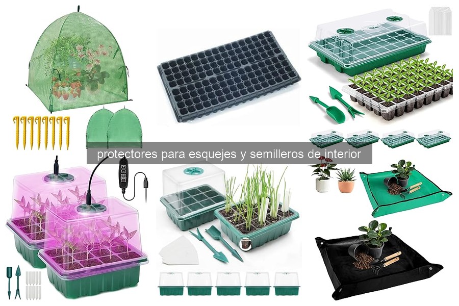 Descubre qué son los protectores para esquejes y semilleros