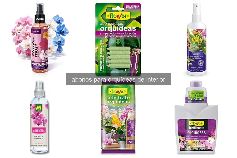 El mejor abono para orquídeas de interior: ¿Cuál elegir?
