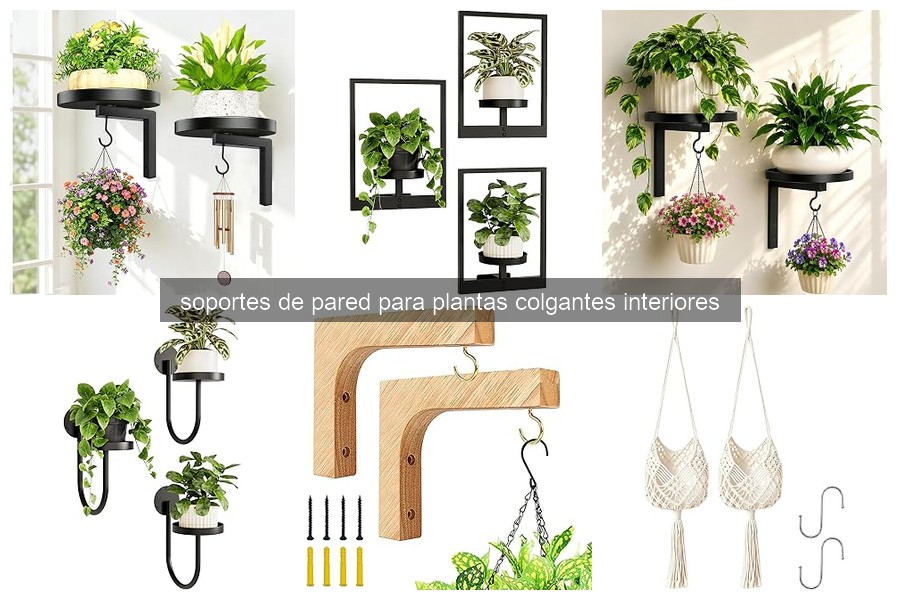 Errores comunes al instalar soportes de pared para plantas colgantes