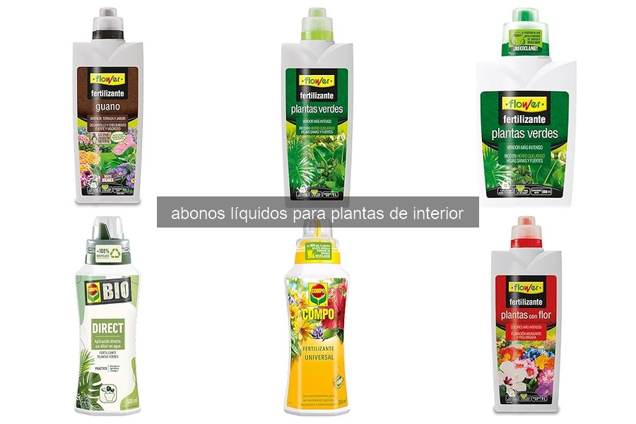 Errores comunes al usar abonos líquidos en plantas de interior