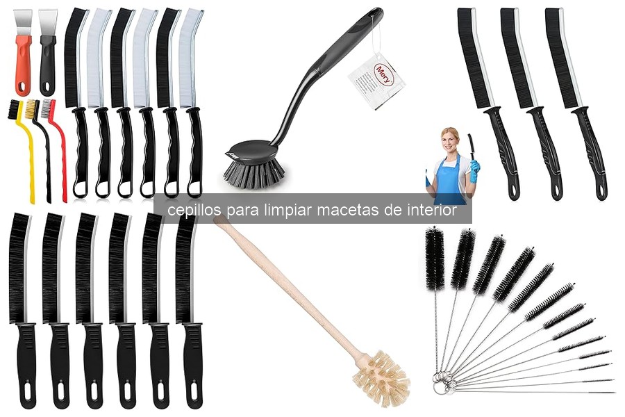 Errores comunes al usar cepillos para limpiar macetas
