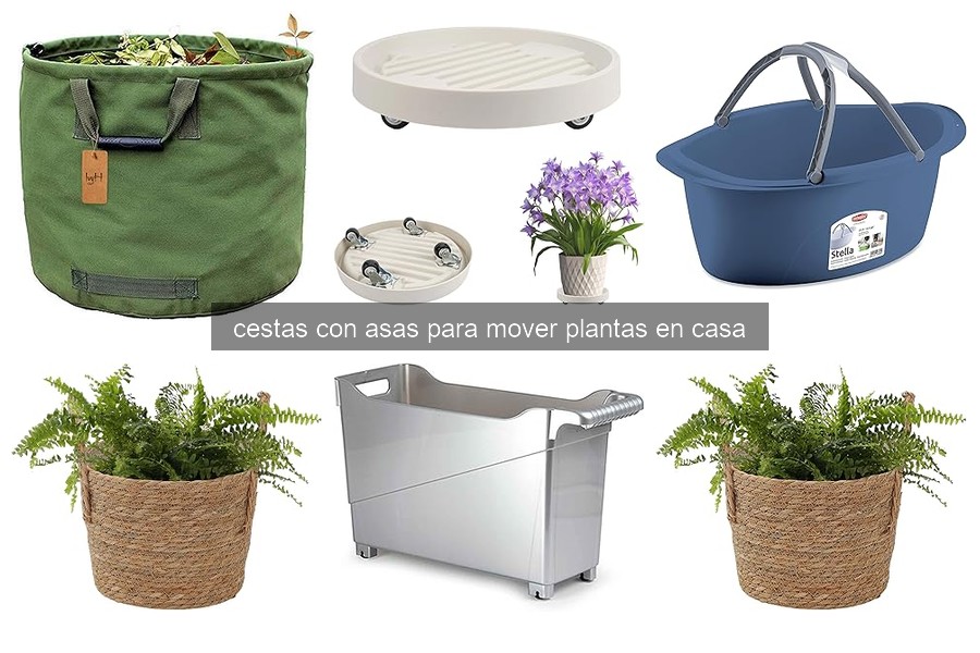 Errores comunes al usar cestas con asas para plantas