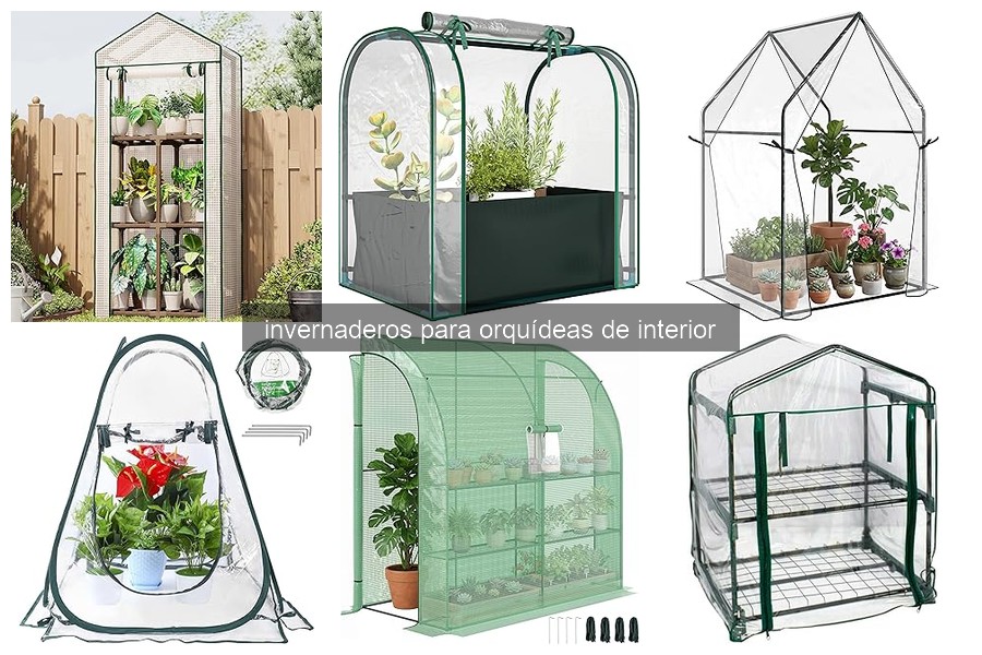 Errores comunes al usar invernaderos para orquídeas