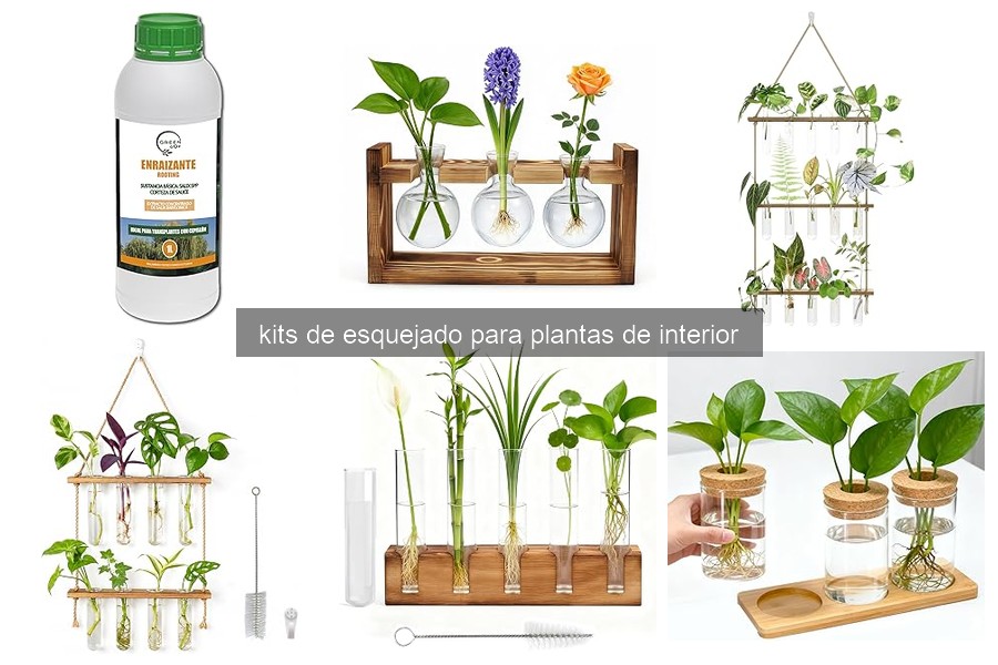 Errores Comunes al Usar Kits de Esquejado para Plantas de Interior