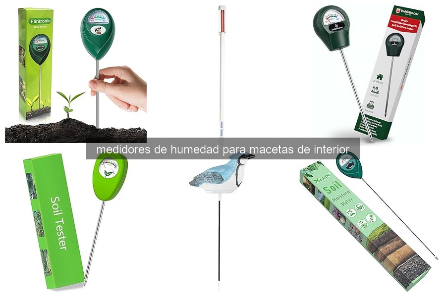 Errores comunes al usar medidores de humedad para macetas