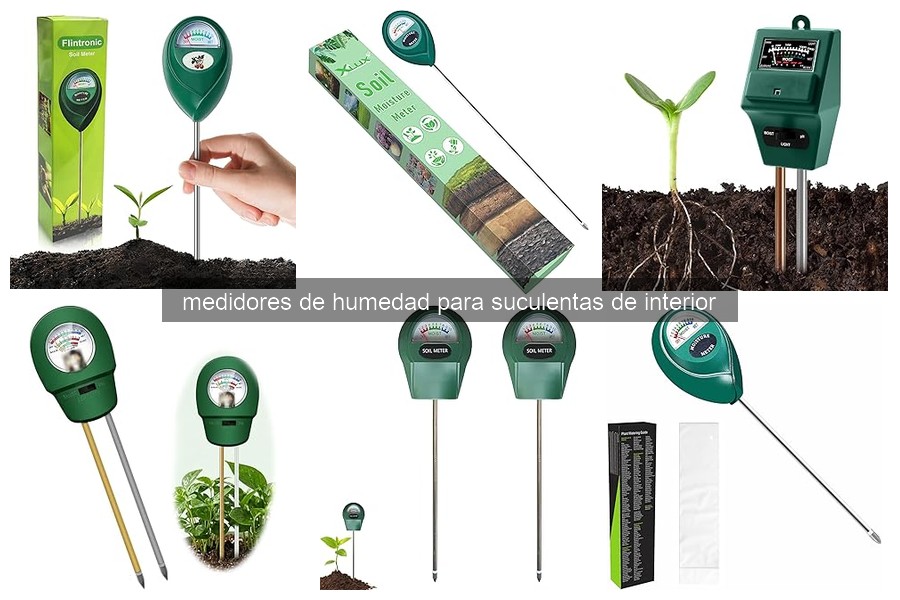 Errores comunes al usar medidores de humedad para suculentas