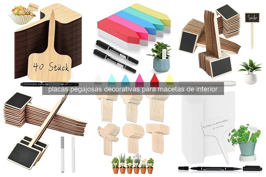 Errores comunes al usar placas pegajosas decorativas en macetas