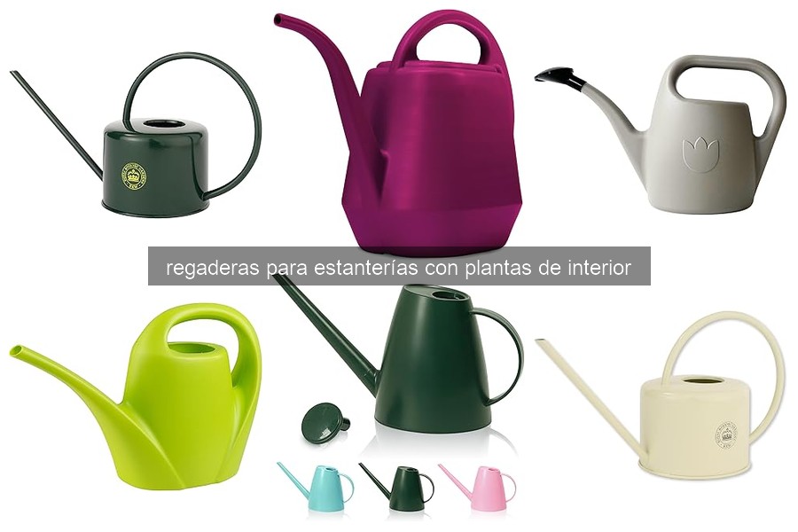 Errores comunes al usar regaderas en plantas de estantería