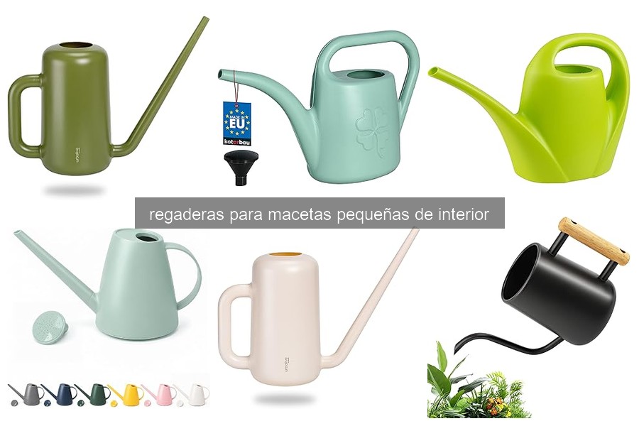 Errores comunes al usar regaderas para macetas pequeñas