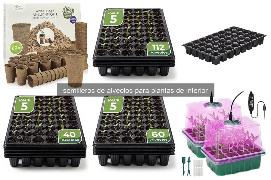 Errores comunes al usar semilleros de alveolos para plantas