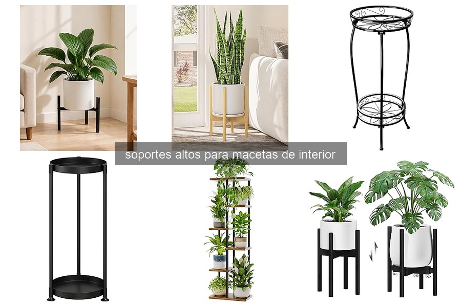 Errores Comunes al Usar Soportes Altos para Macetas