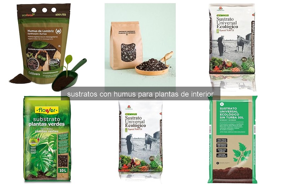 Errores comunes al usar sustratos con humus para plantas de interior