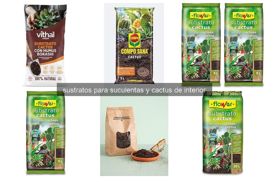 Errores comunes al usar sustratos para suculentas y cactus
