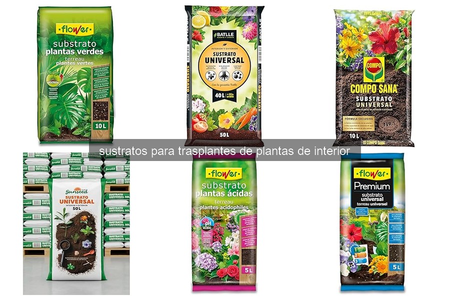 Errores Comunes al Usar Sustratos para Trasplantes de Plantas