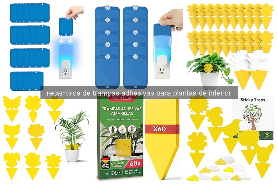 Errores comunes al usar trampas adhesivas para plantas
