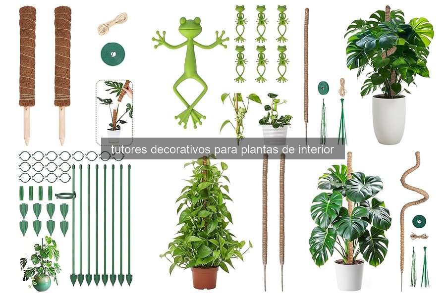 Errores comunes al usar tutores decorativos en plantas de interior