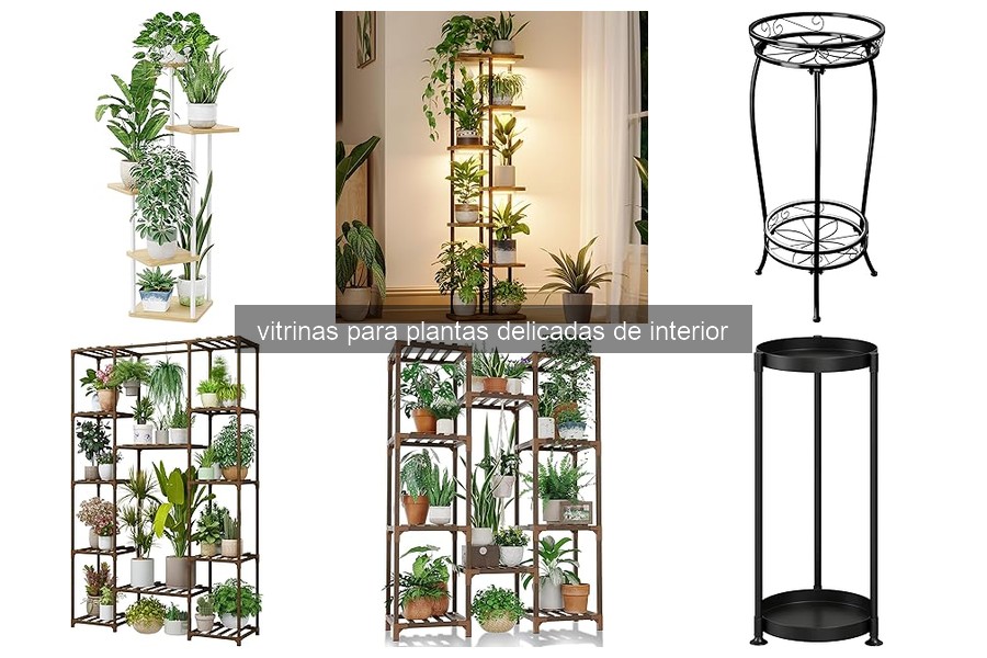 Errores comunes al usar vitrinas para plantas delicadas