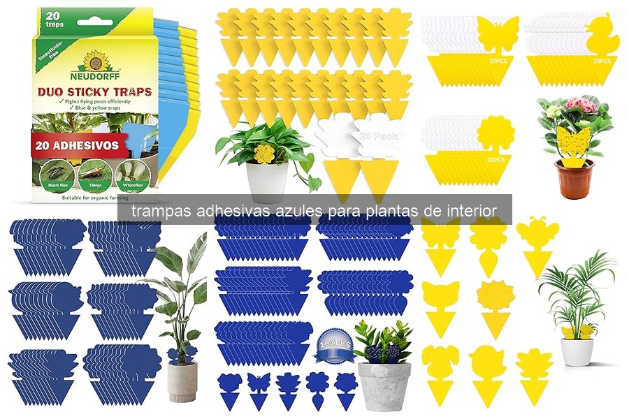 Errores comunes con trampas adhesivas azules para plantas