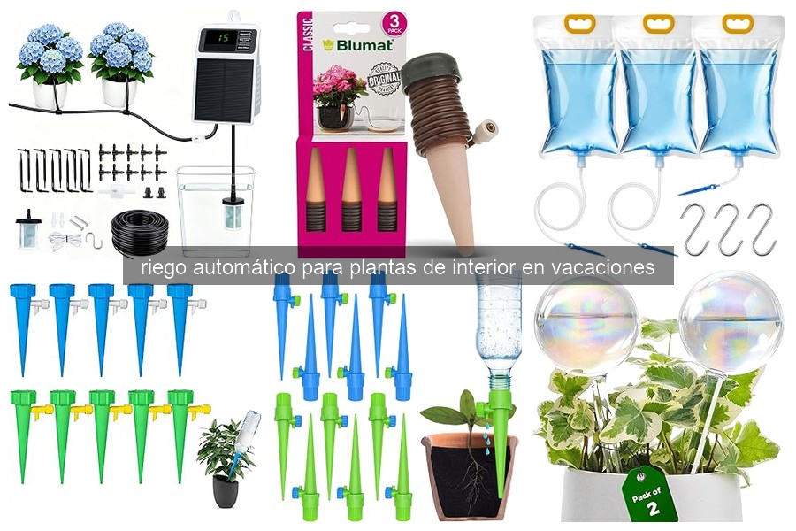 Errores comunes en riego automático de plantas interiores