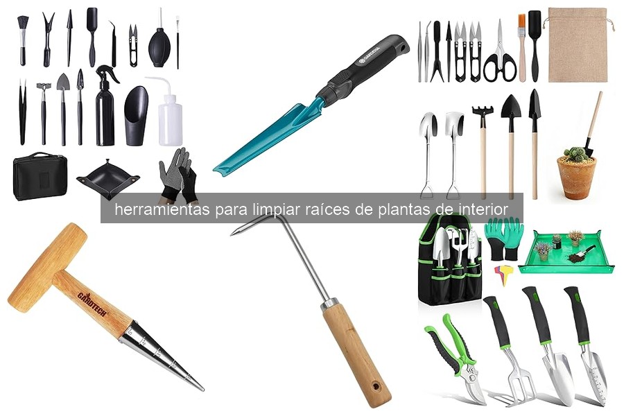Errores frecuentes al limpiar raíces de plantas de interior