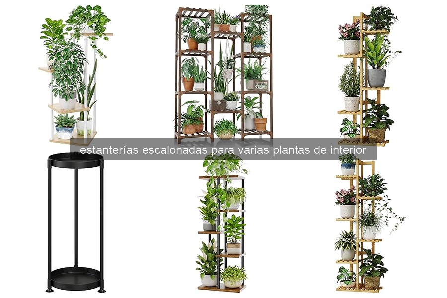 Estanterías Escalonadas para Plantas de Interior: ¿Qué Son?