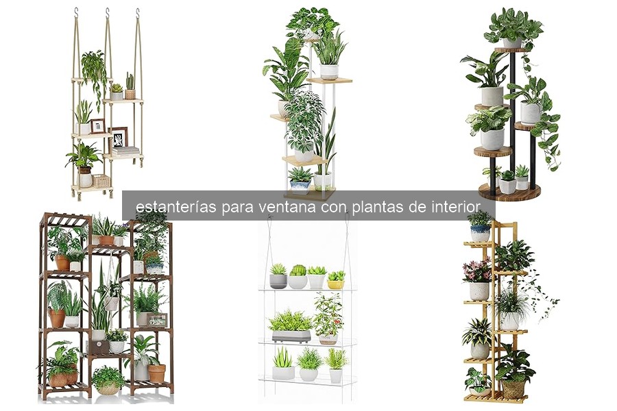 Estanterías para Ventana con Plantas de Interior: Beneficios y Función