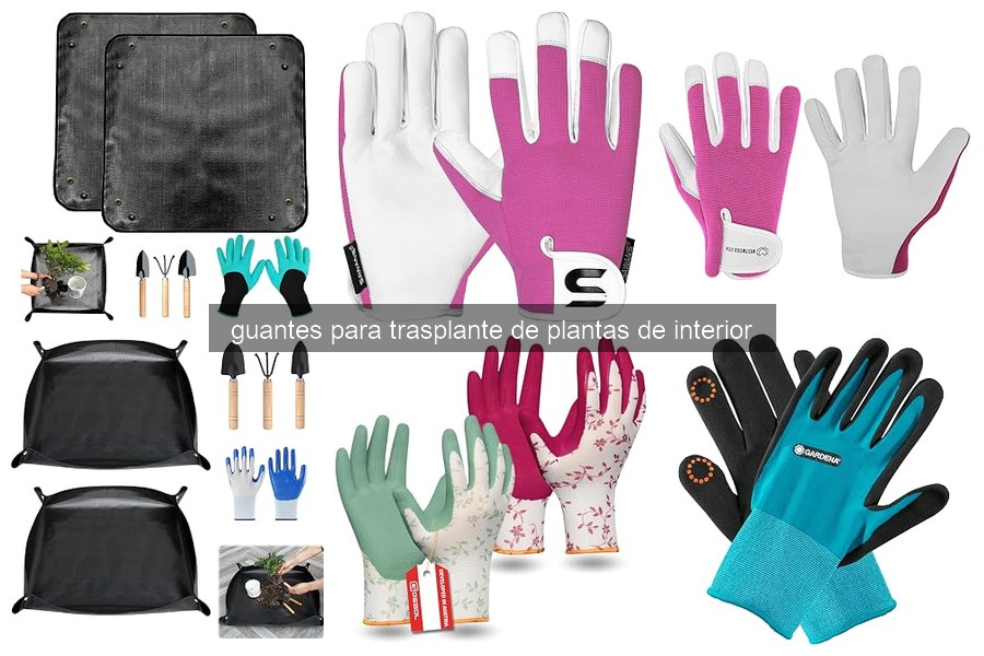 Guantes para Trasplante de Plantas de Interior: ¿Qué Son?