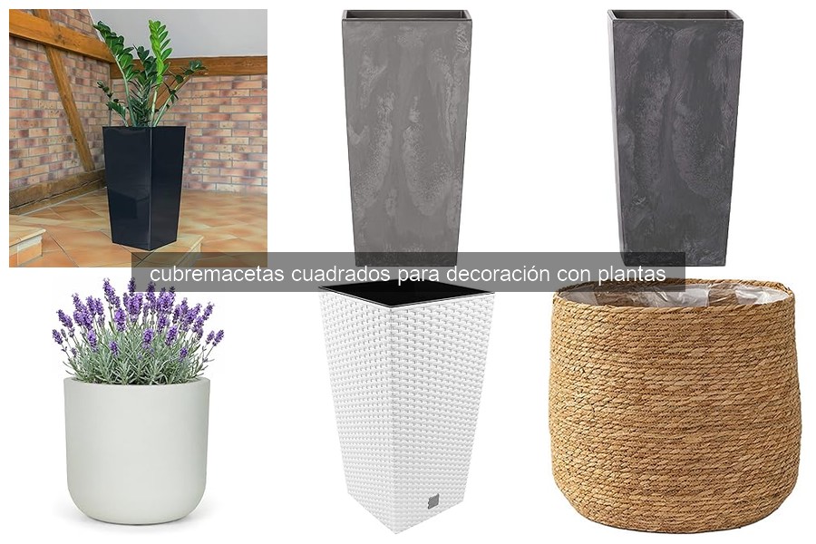 Guía de compra de cubremacetas cuadrados para plantas