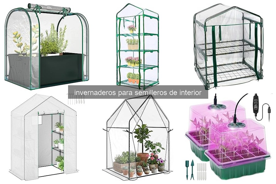 Guía de compra de invernaderos para semilleros de interior