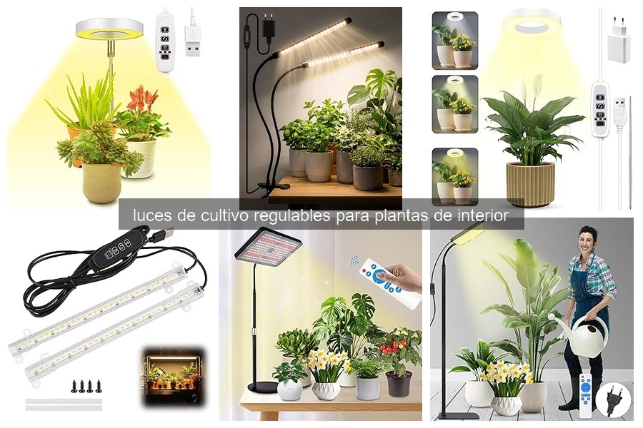Guía de compra de luces de cultivo regulables para principiantes