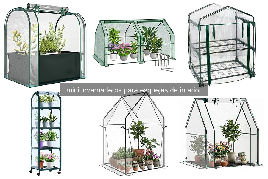 Guía de compra de mini invernaderos para esquejes de interior