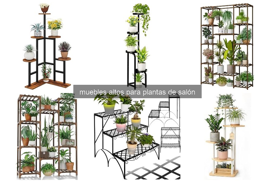 Guía de Compra de Muebles Altos para Plantas de Interior