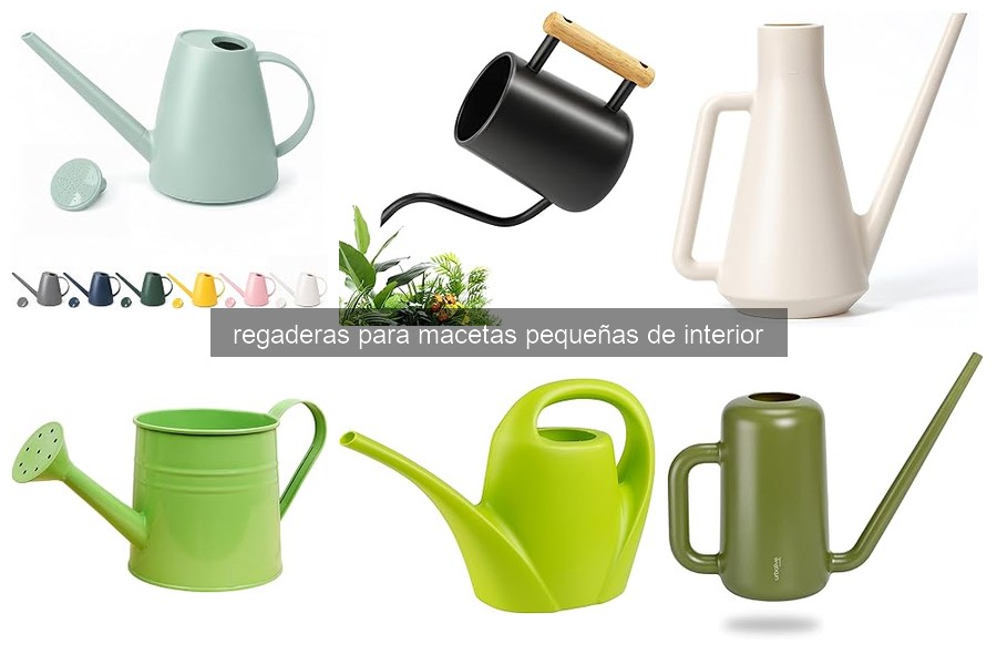 Guía de compra de regaderas para macetas pequeñas de interior