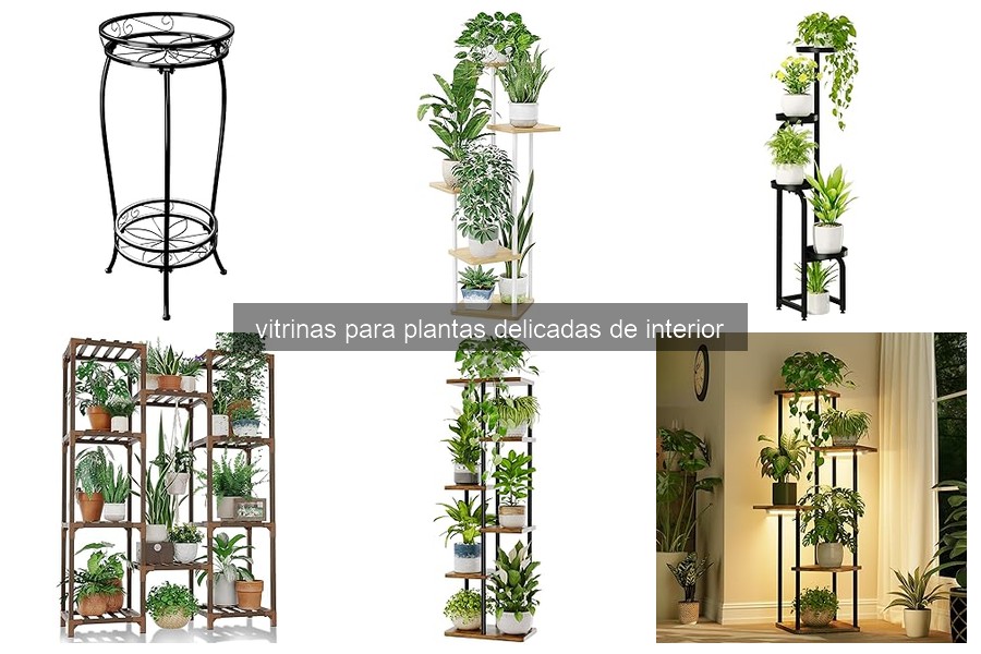 Guía de compra de vitrinas para plantas delicadas de interior