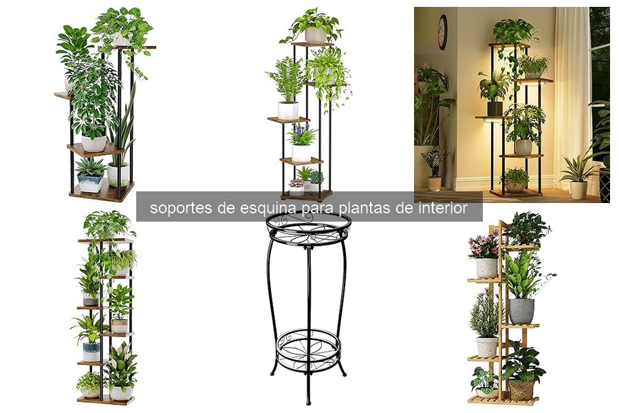 Guía de compra: Soportes de esquina para plantas de interior