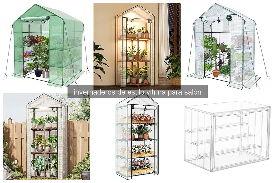 Guía de cuidado de plantas en invernaderos vitrina