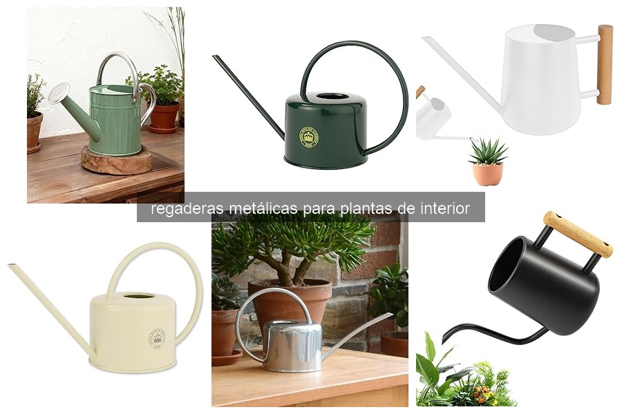 Guía de Uso y Mantenimiento de Regaderas Metálicas