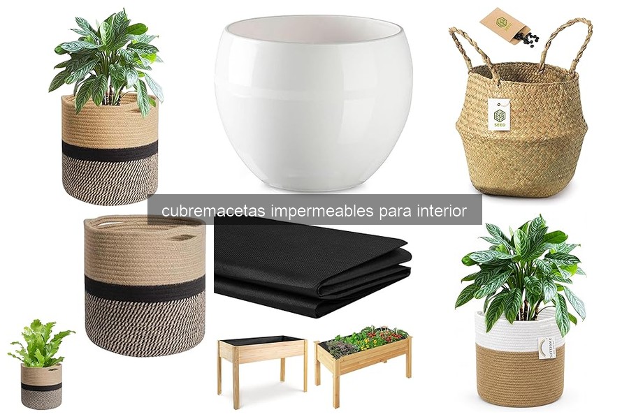 Guía para elegir cubremacetas impermeables para interiores